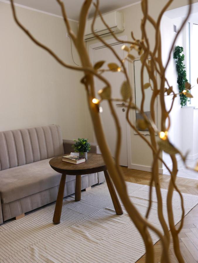 Mina City Center Apartment Amzei 부쿠레슈티 외부 사진